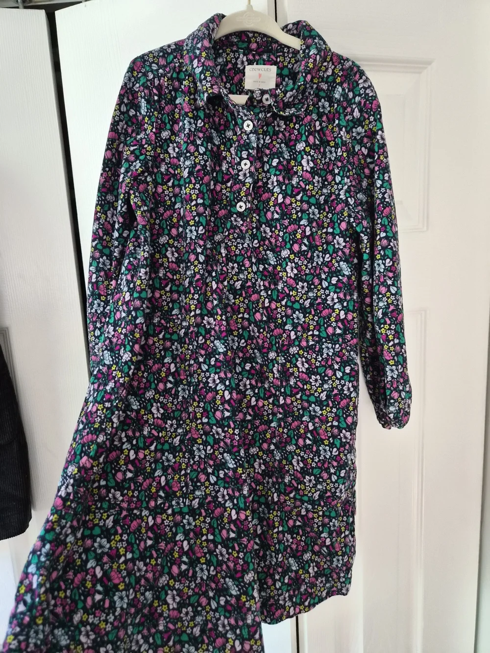 Crewcuts Girls Dress Bundle